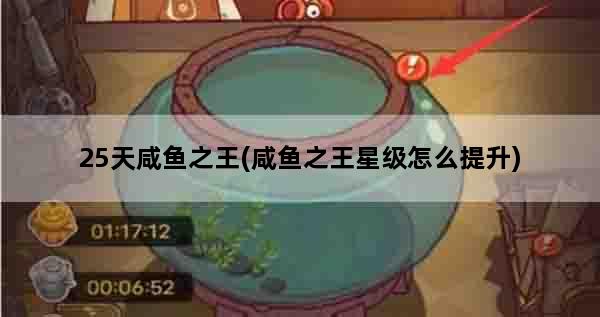 25天咸鱼之王(咸鱼之王星级怎么提升)