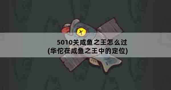 5010关咸鱼之王怎么过(华佗在咸鱼之王中的定位)