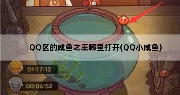 QQ区的咸鱼之王哪里打开(QQ小咸鱼)