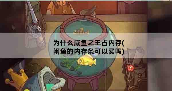 为什么咸鱼之王占内存(闲鱼的内存条可以买吗)