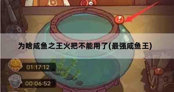 为啥咸鱼之王火把不能用了(最强咸鱼王)
