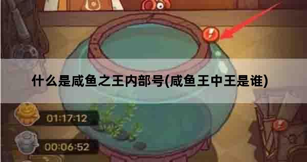 什么是咸鱼之王内部号(咸鱼王中王是谁)