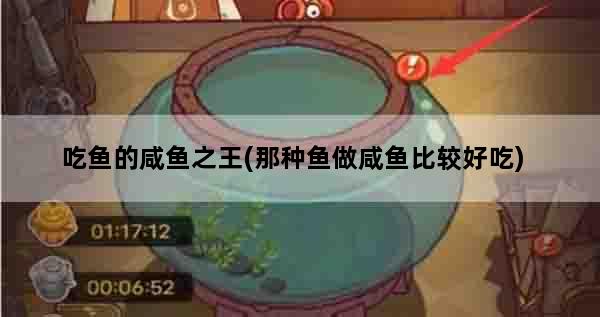 吃鱼的咸鱼之王(那种鱼做咸鱼比较好吃)