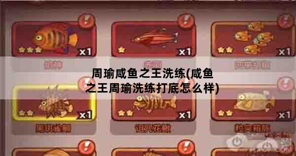 周瑜咸鱼之王洗练(咸鱼之王周瑜洗练打底怎么样)