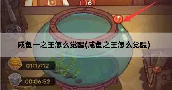 咸鱼一之王怎么觉醒(咸鱼之王怎么觉醒)