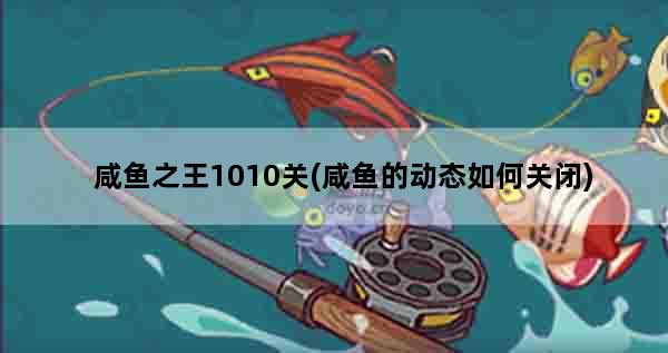 咸鱼之王1010关(咸鱼的动态如何关闭)