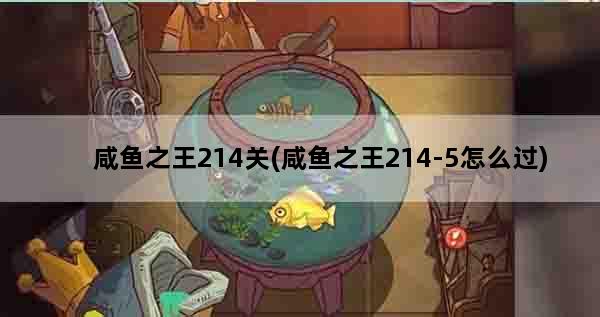 咸鱼之王214关(咸鱼之王214-5怎么过)