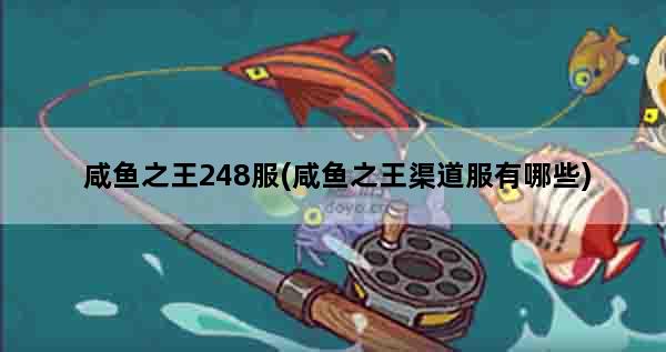 咸鱼之王248服(咸鱼之王渠道服有哪些)