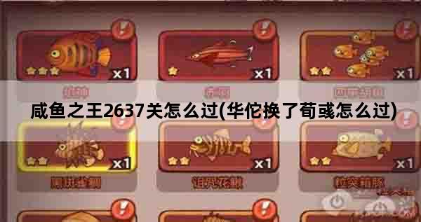 咸鱼之王2637关怎么过(华佗换了荀彧怎么过)