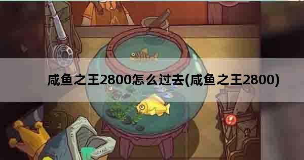 咸鱼之王2800怎么过去(咸鱼之王2800)