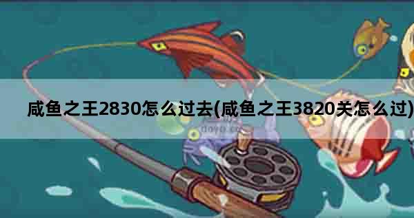 咸鱼之王2830怎么过去(咸鱼之王3820关怎么过)