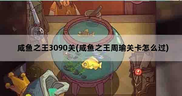 咸鱼之王3090关(咸鱼之王周瑜关卡怎么过)