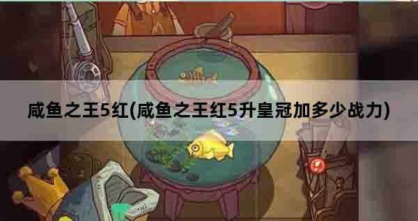 咸鱼之王5红(咸鱼之王红5升皇冠加多少战力)