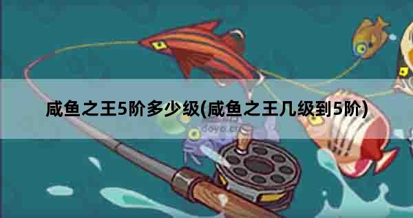 咸鱼之王5阶多少级(咸鱼之王几级到5阶)