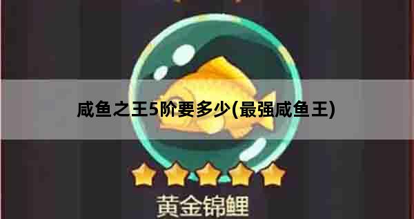 咸鱼之王5阶要多少(最强咸鱼王)