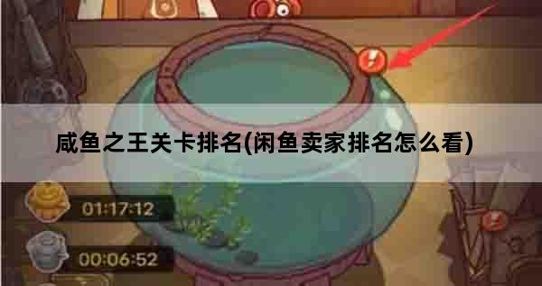 咸鱼之王关卡排名(闲鱼卖家排名怎么看)