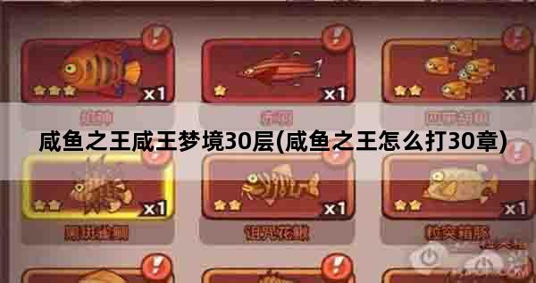咸鱼之王咸王梦境30层(咸鱼之王怎么打30章)