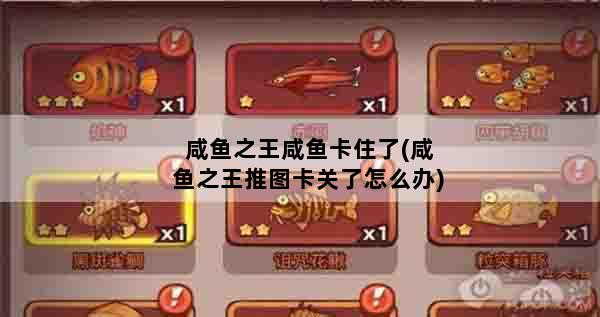 咸鱼之王咸鱼卡住了(咸鱼之王推图卡关了怎么办)