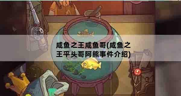 咸鱼之王咸鱼哥(咸鱼之王平头哥阿熊事件介绍)