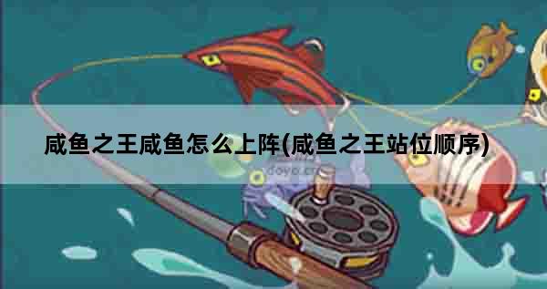 咸鱼之王咸鱼怎么上阵(咸鱼之王站位顺序)