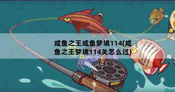 咸鱼之王咸鱼梦境114(咸鱼之王梦境114关怎么过)
