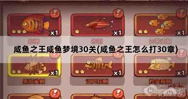 咸鱼之王咸鱼梦境30关(咸鱼之王怎么打30章)