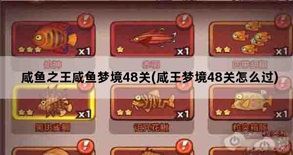 咸鱼之王咸鱼梦境48关(咸王梦境48关怎么过)