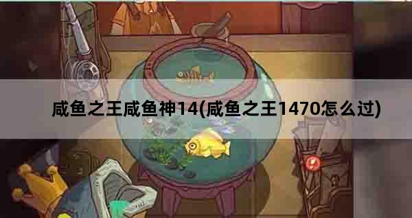 咸鱼之王咸鱼神14(咸鱼之王1470怎么过)