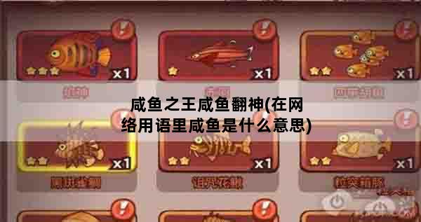 咸鱼之王咸鱼翻神(在网络用语里咸鱼是什么意思)