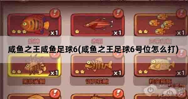 咸鱼之王咸鱼足球6(咸鱼之王足球6号位怎么打)