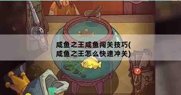 咸鱼之王咸鱼闯关技巧(咸鱼之王怎么快速冲关)