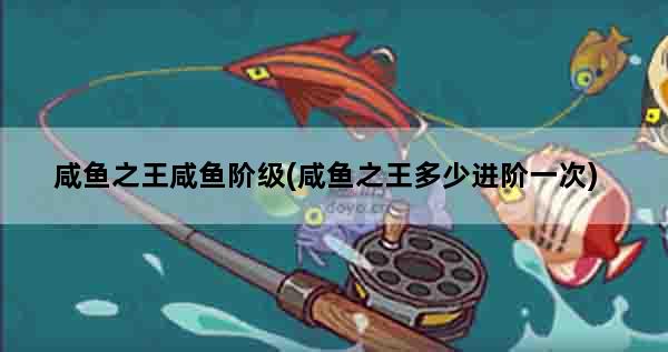 咸鱼之王咸鱼阶级(咸鱼之王多少进阶一次)
