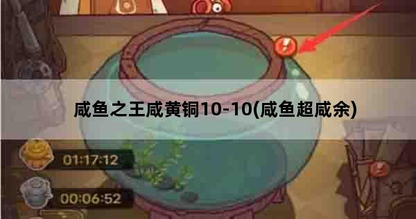 咸鱼之王咸黄铜10-10(咸鱼超咸余)