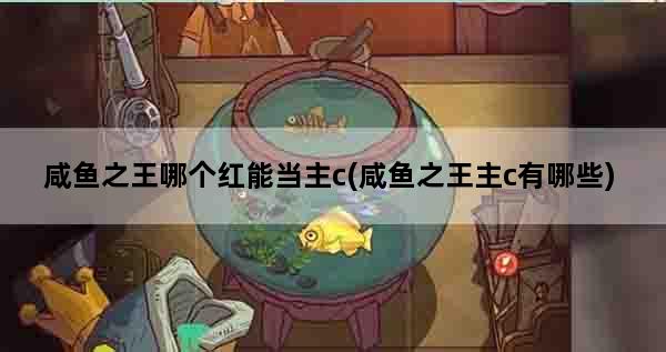 咸鱼之王哪个红能当主c(咸鱼之王主c有哪些)