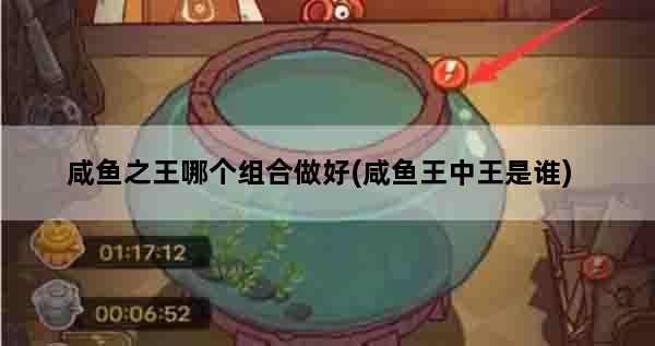 咸鱼之王哪个组合做好(咸鱼王中王是谁)